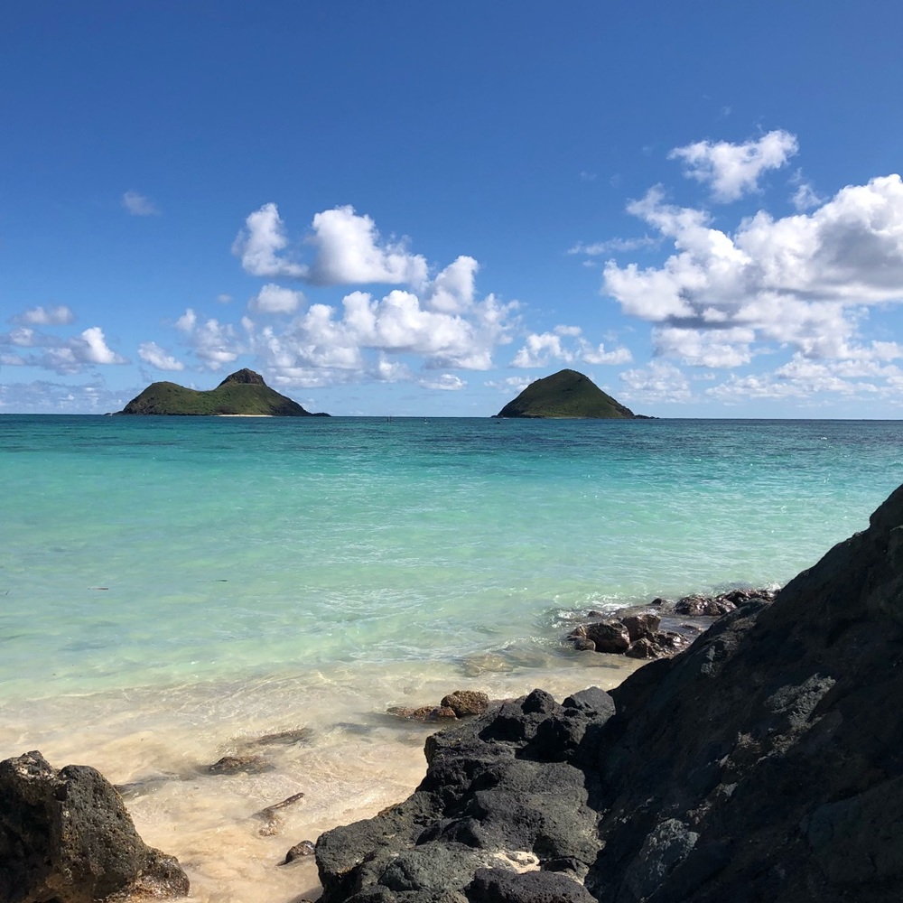 Meet your Posher, Lee